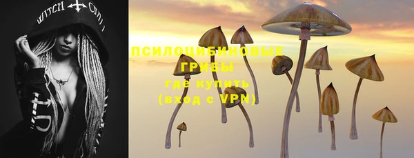 прущая мука Новодвинск
