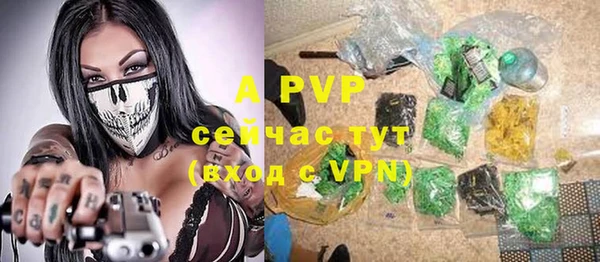 спайс Беломорск